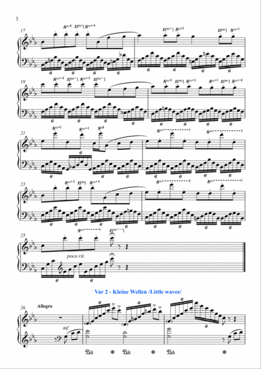 Die Variationen "Verloren" /Lost/ op19 in C minor image number null