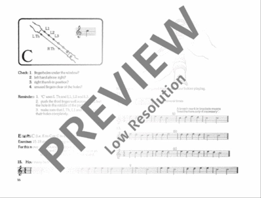 Enjoy the Recorder Alto Recorder scores gallery preview page 17