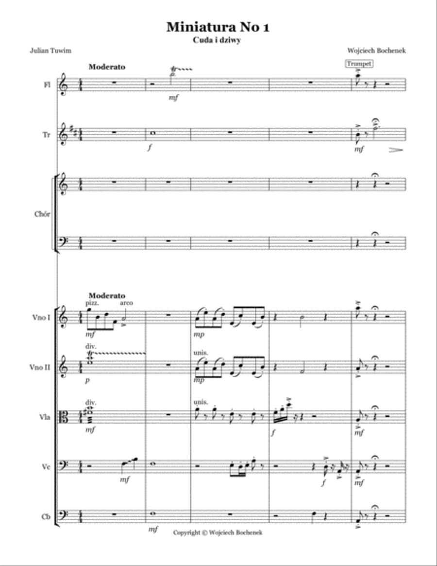 Cuda i Dziwy (Miniatura Pierwsza) Chamber Orchestra scores gallery preview page 3