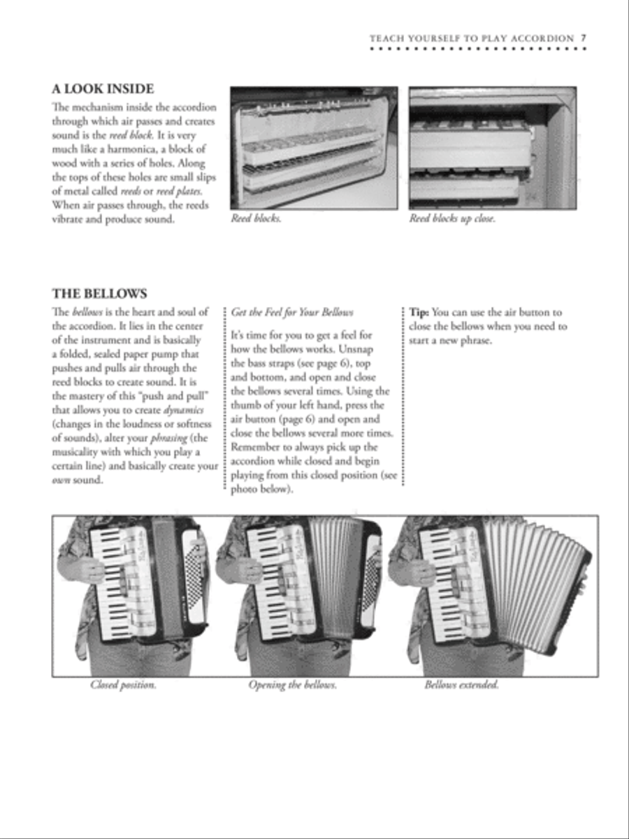 Alfred's Teach Yourself to Play Accordion Accordion scores gallery preview page 4