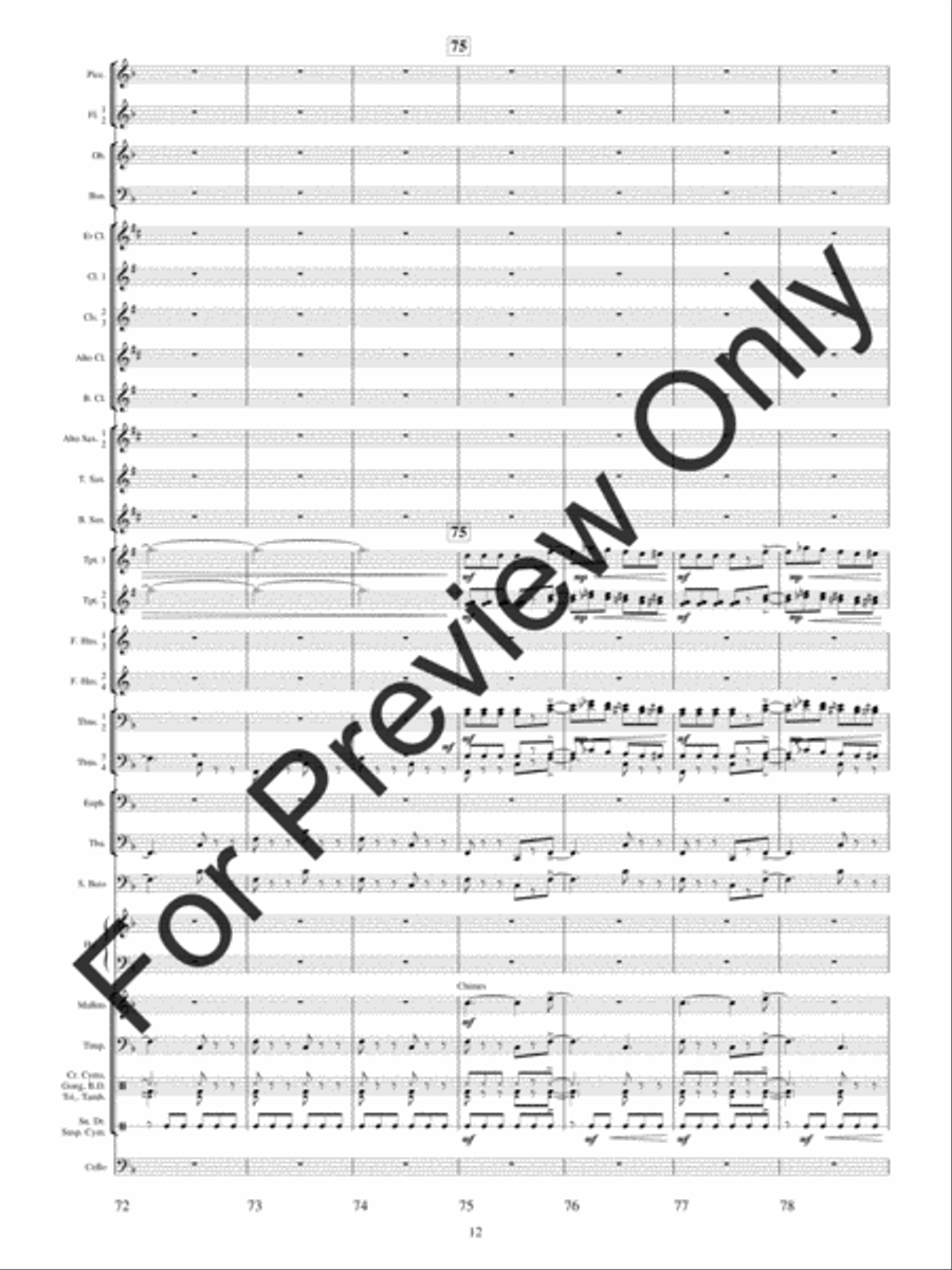 Festival Variations Concert Band scores gallery preview page 15