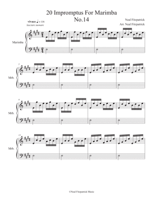 Impromptu No.14 For Marimba