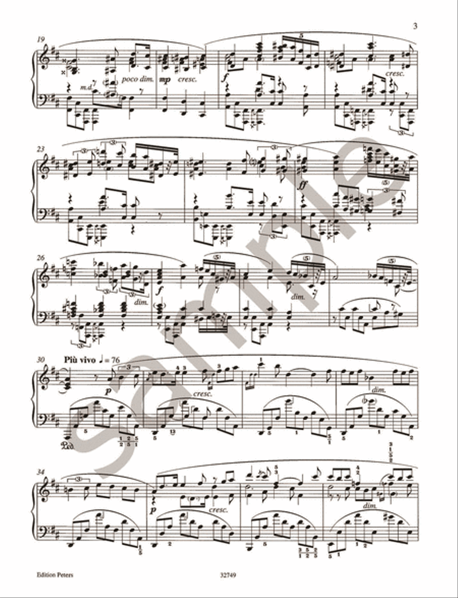 Fantasie in B minor Op. 28 for Piano Piano scores gallery preview page 4