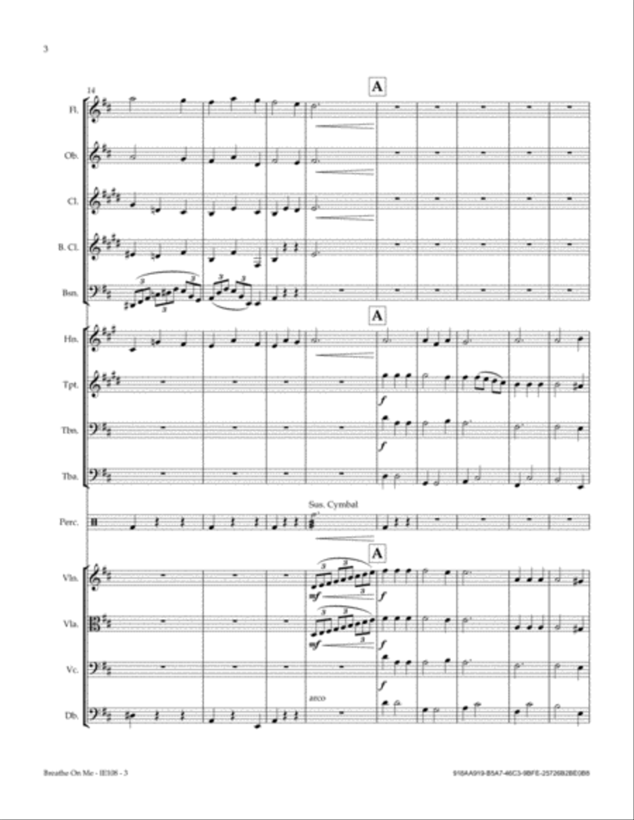 Breathe On Me Breathe On Me Full Orchestra scores gallery preview page 6
