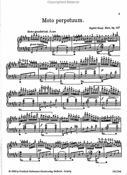2 Klavierstucke, op. 22