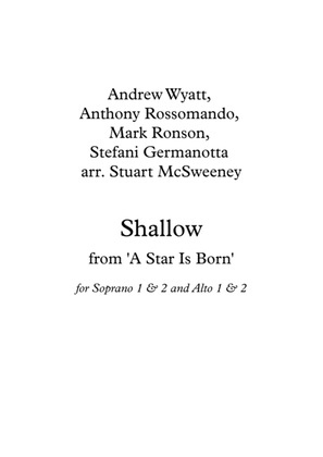 Book cover for Shallow