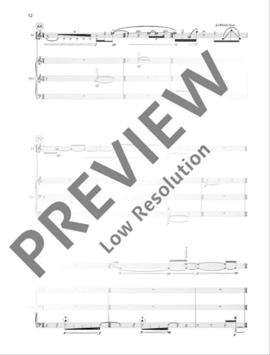 Paradromes III Flute Solo scores gallery preview page 13