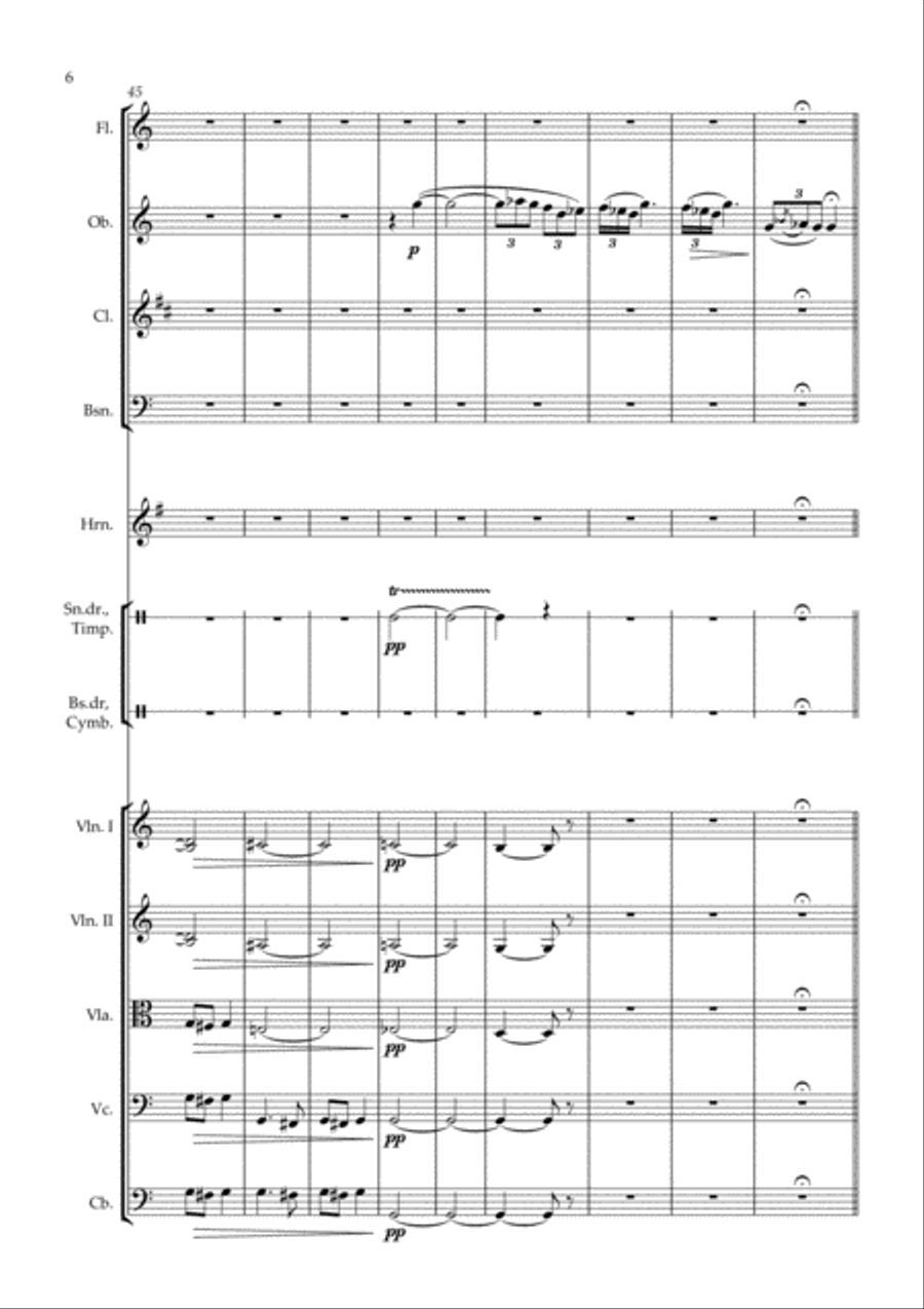 Der Zigeunerbaron Ouverture - arr. for chamber orchestra Chamber Orchestra scores gallery preview page 6