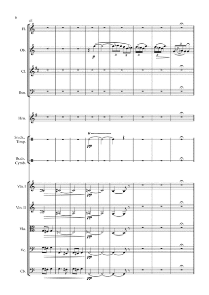Der Zigeunerbaron Ouverture - arr. for chamber orchestra