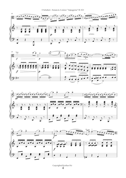 Sonata in A minor "Arpeggione" by Franz Schubert for viola and piano