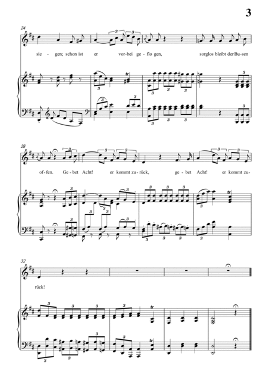 Schubert-Hinund wieder fliegen Pfeile in D for Vocal and Piano Voice scores gallery preview page 4