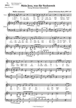 Mein Jesu, was fur Seelenweh, BWV 487 (C minor)