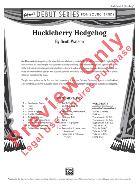 Huckleberry Hedgehog