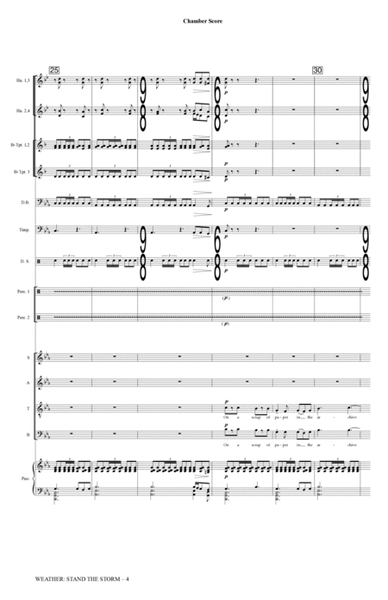 Weather: Stand The Storm (Chamber Ensemble) - Full Score