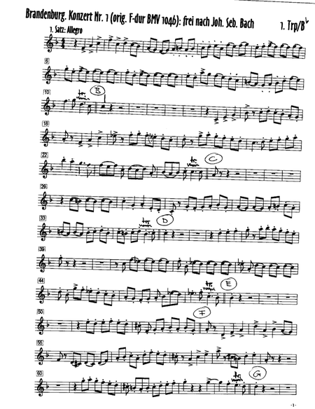Brandenburg Concerto No.1 F Major - Allegro image number null