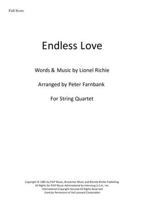 Book cover for Endless Love