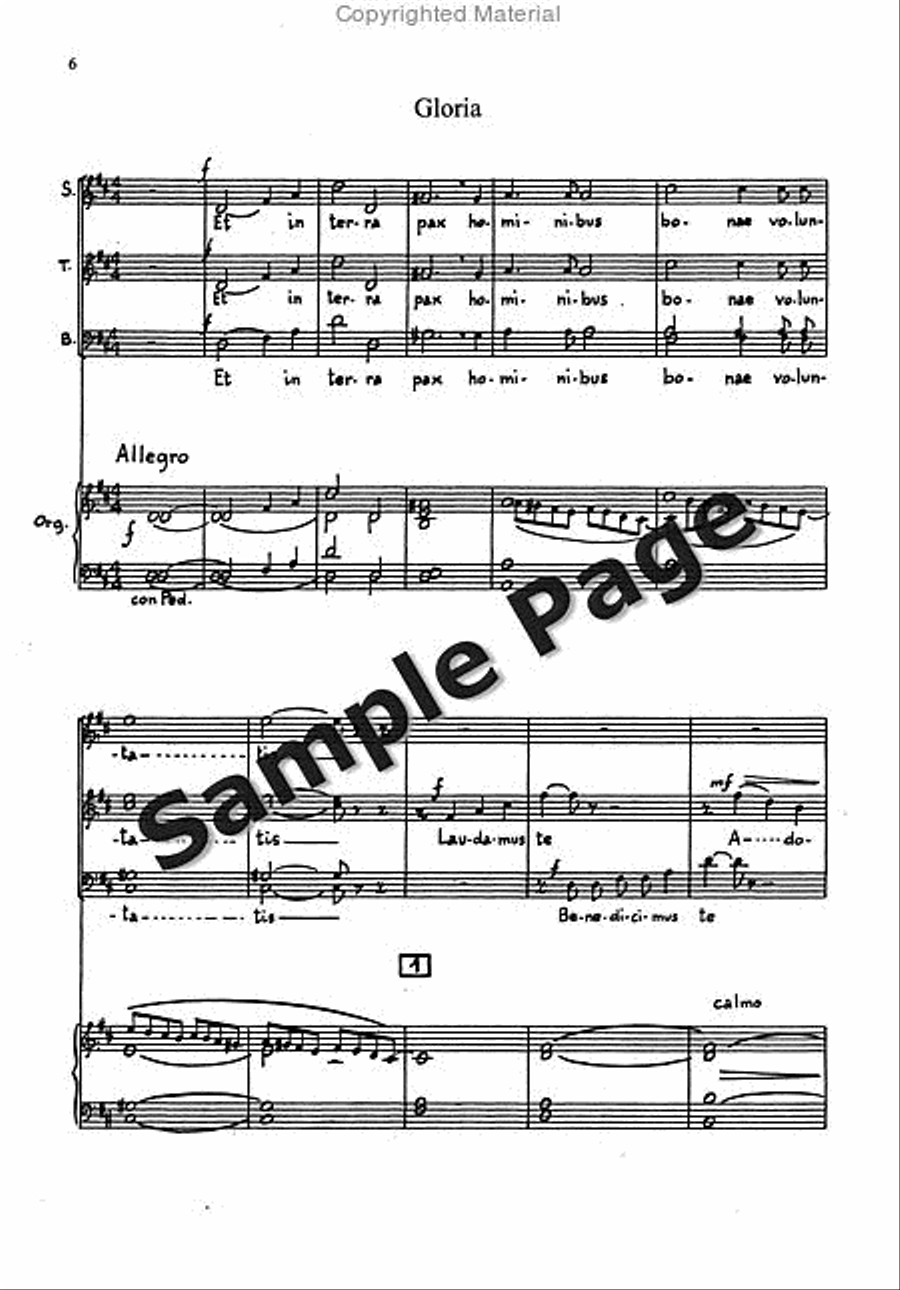 Messa Breve For Mixed Choir (3 Voices Stb) And Organ STB scores gallery preview page 5