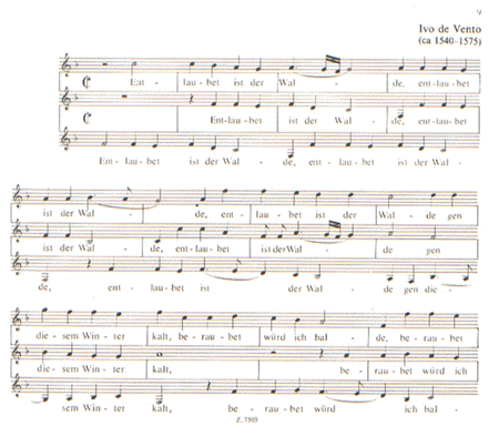 Schola cantorum V Zwei- und dreistimmige Motetten