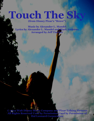 Book cover for Touch The Sky