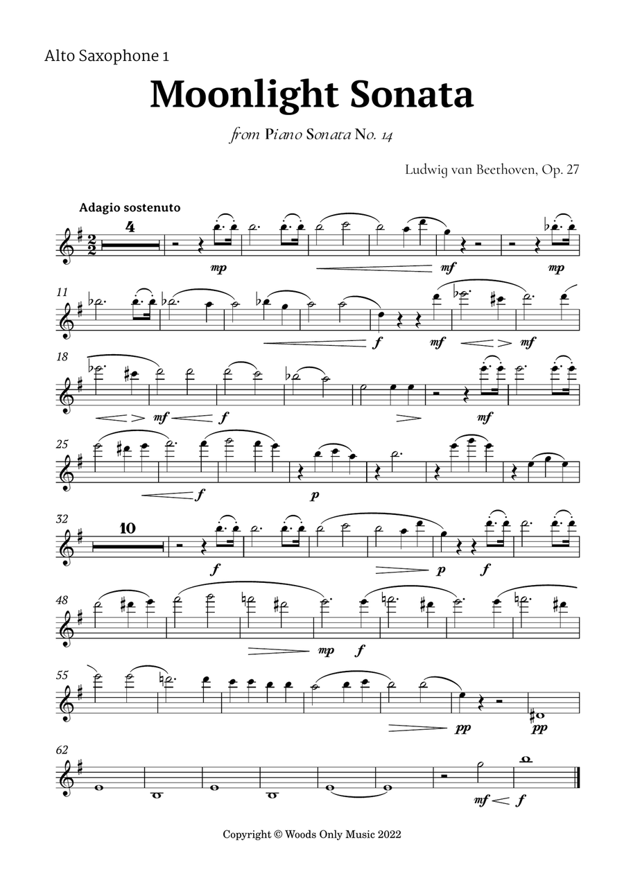 Moonlight Sonata by Beethoven for Alto Sax Trio Woodwind Trio scores gallery preview page 5