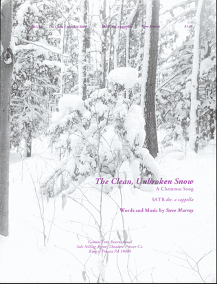 Book cover for The Clean, Unbroken Snow