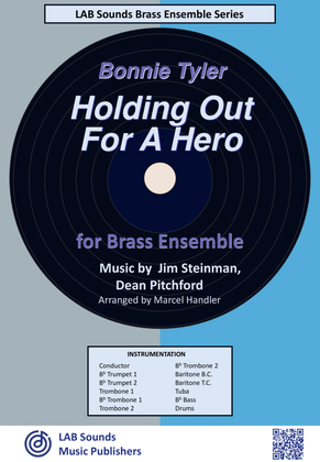 Book cover for Holding Out For A Hero