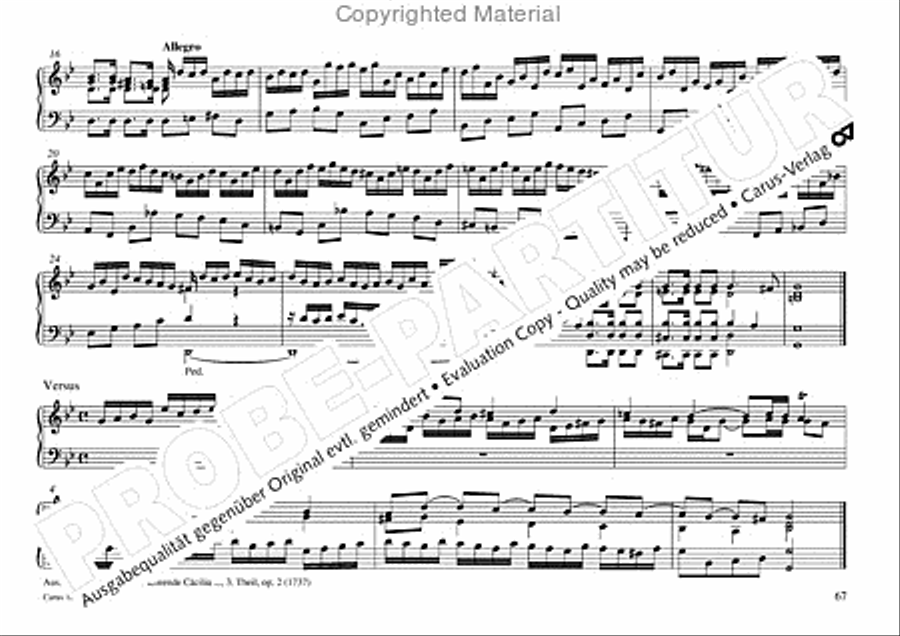 Freiburger Orgelbuch: Stammteil Organ Solo scores gallery preview page 68