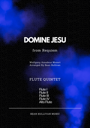 Book cover for Domine Jesu