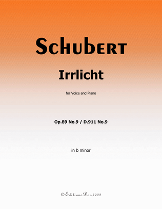 Book cover for Irrlicht, by Schubert, in b minor