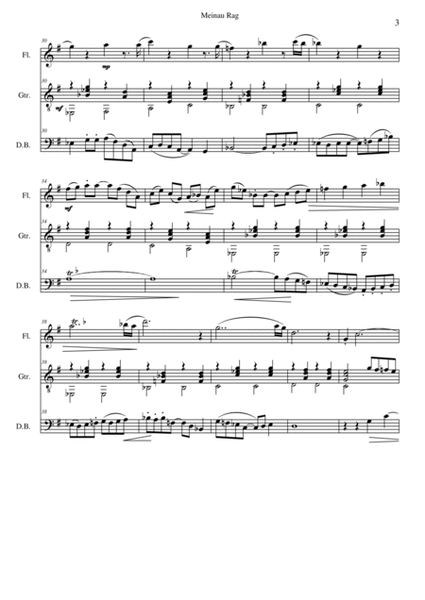 Meinau Rag for flute, double bass and guitar image number null