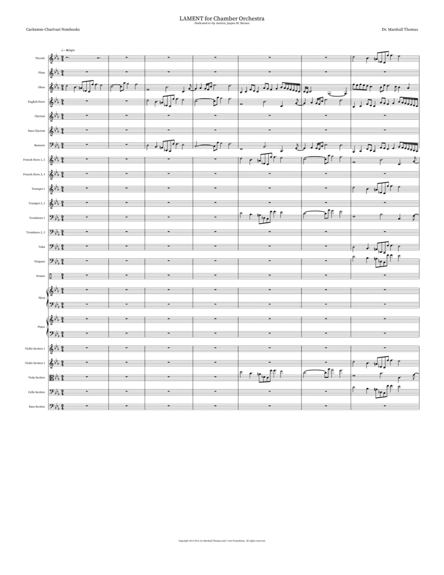 LAMENT for Chamber Orchestra