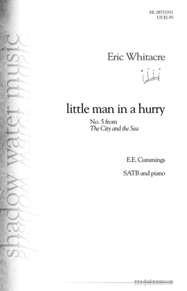 Book cover for Little Man in a Hurry