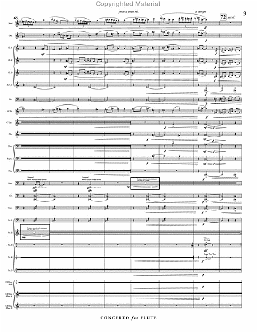 Concerto for Flute & Wind Ensemble Concert Band scores gallery preview page 10