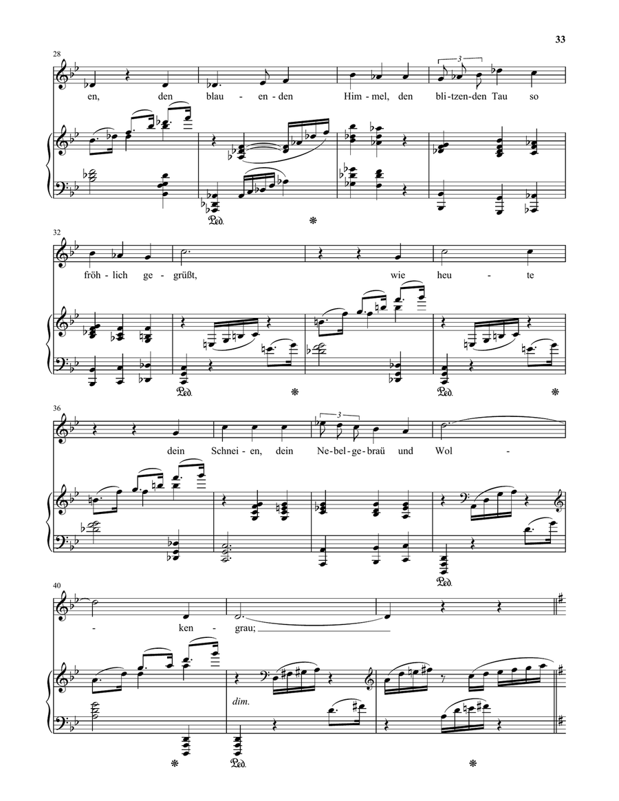 Winternacht (Low Voice) Low Voice scores gallery preview page 3