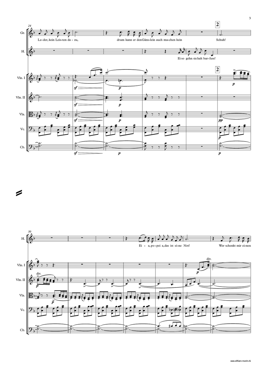 Suse, liebe Suse Chamber Orchestra scores gallery preview page 4