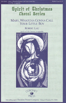 Book cover for Mary Whatcha Gonna Call