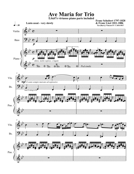 Ave Maria, D.839 ; Op.52, No.6 (Mix with Franz Liszt’s 12 Lieder von Franz Schubert, S.558 No.12) image number null