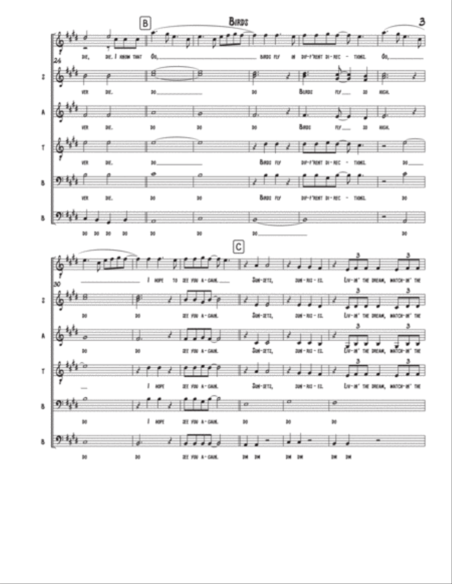 Birds Birds Divisi scores gallery preview page 3