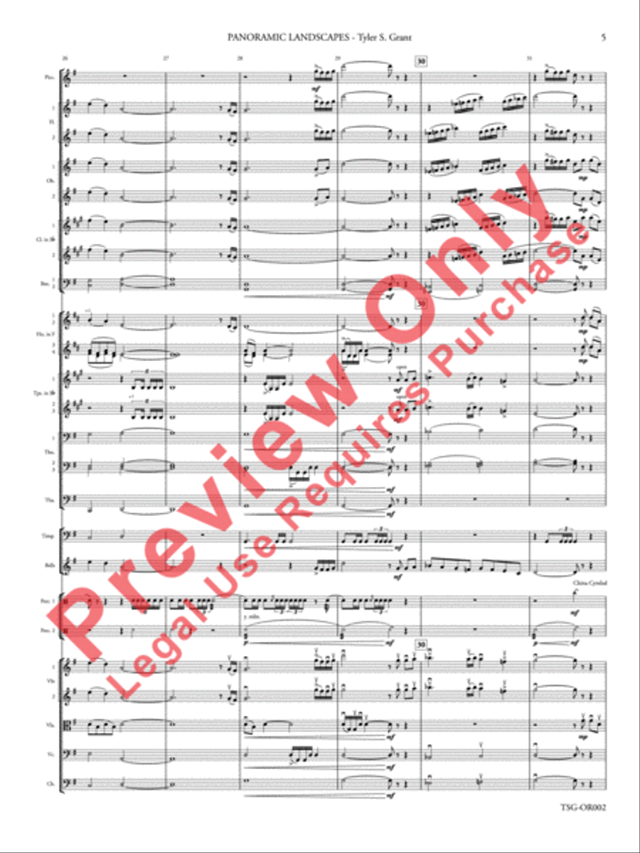 Panoramic Landscapes Panoramic Landscapes Full Orchestra scores gallery preview page 6