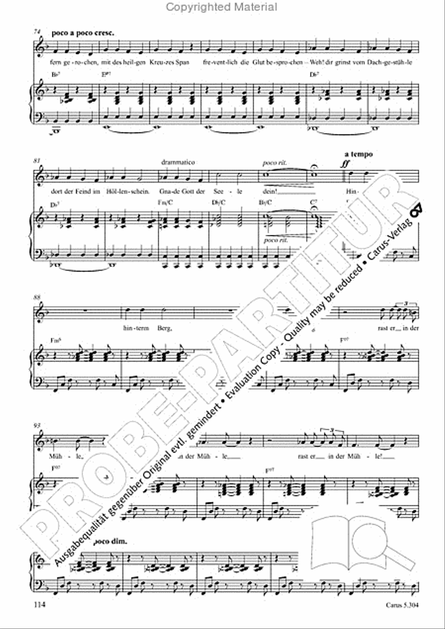 Schindler: Rosenzeit. Ein Liederzyklus uber die Liebe. Chansons fur Singstimme und Klavier Piano scores gallery preview page 115