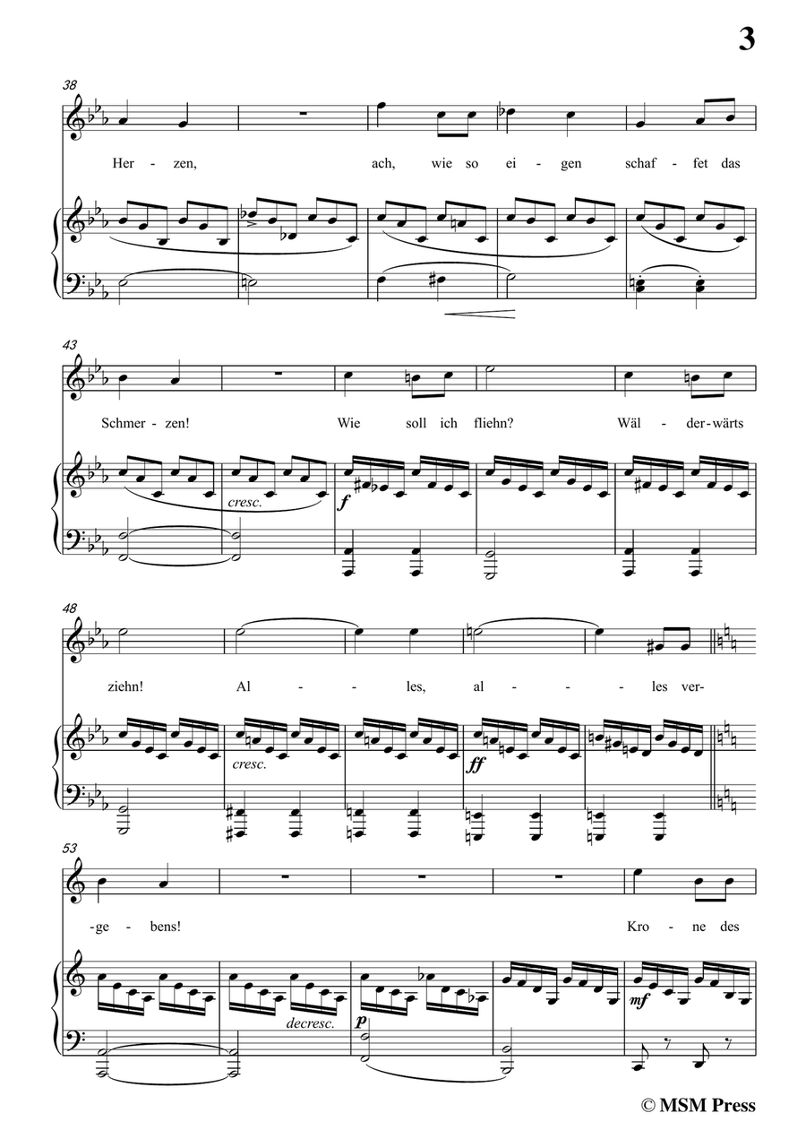 Schubert-Rastlose Liebe in C Major,for voice and piano by Franz Schubert Piano, Vocal - Digital Sheet Music page 5