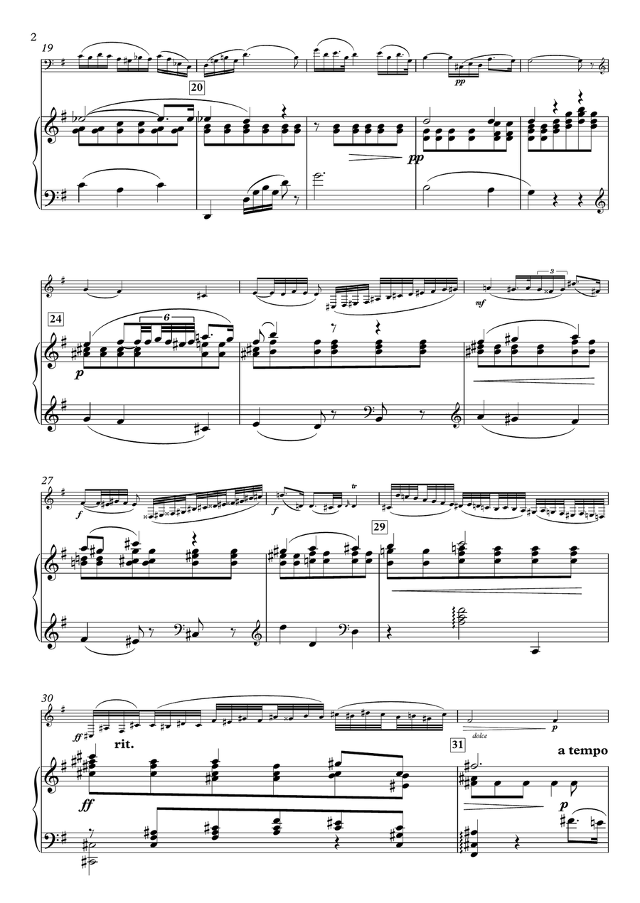 Etude Op.25 No.7 in e minor for Viola & Piano Viola scores gallery preview page 2