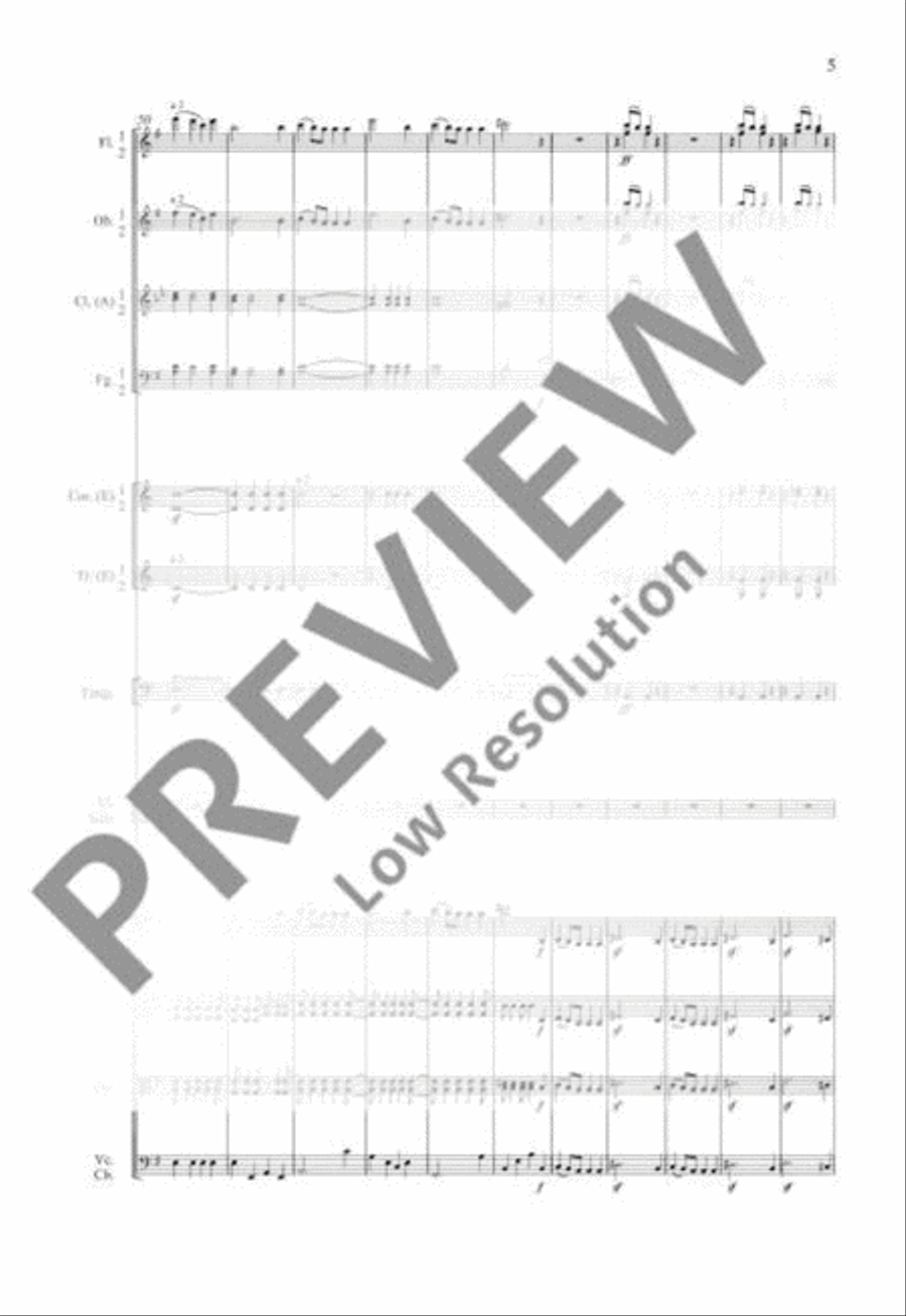 Concerto E minor Orchestra scores gallery preview page 12