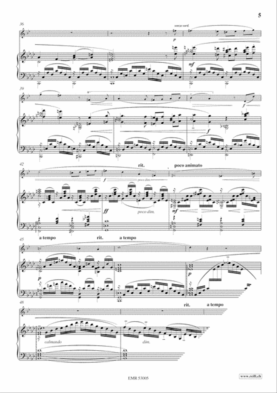 Nocturne & Scherzo Nocturne & Scherzo Cornet scores gallery preview page 6