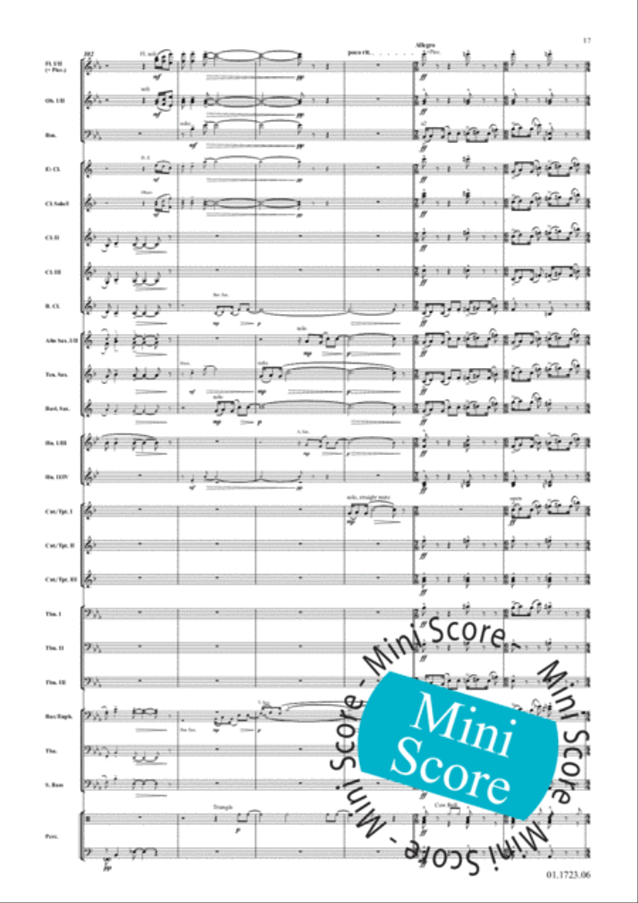 Cake-Walk Phantasy Concert Band scores gallery preview page 21