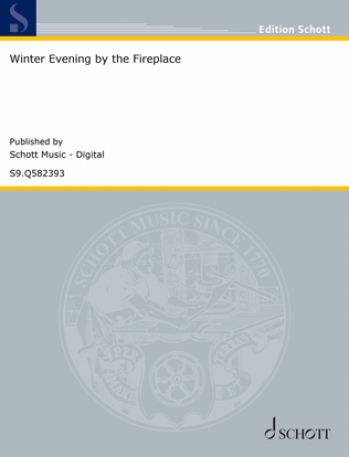 Book cover for Winter Evening by the Fireplace