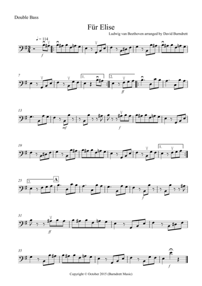 Fur Elise for Double Bass and Piano image number null