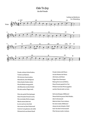 Book cover for Beethoven - Ode To Joy for voice with chords in B (Lyrics in German)
