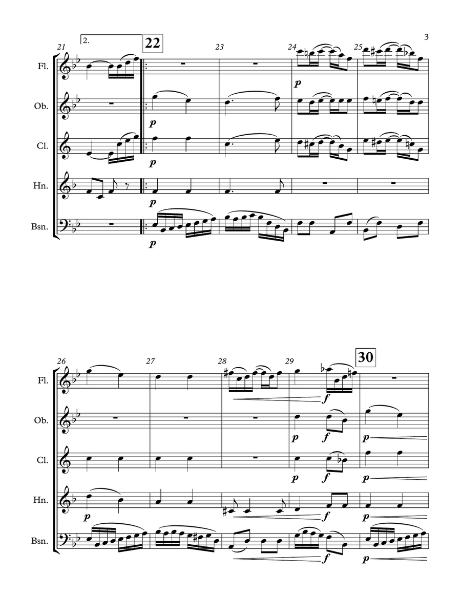 The Nonpareil - for woodwind quintet The Nonpareil - for woodwind quintet Woodwind Quintet scores gallery preview page 3