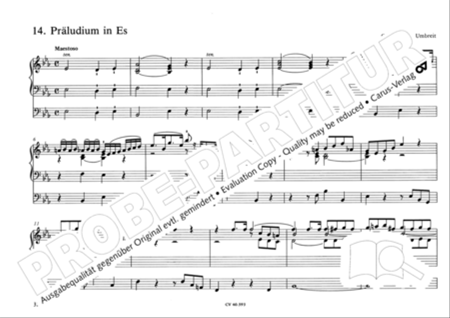 Free Organ Music from the Romantic Period, Vol. I (Freie Orgelmusik der Romantik, Band I) Organ scores gallery preview page 37